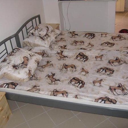Karpati Motel بودابست المظهر الخارجي الصورة